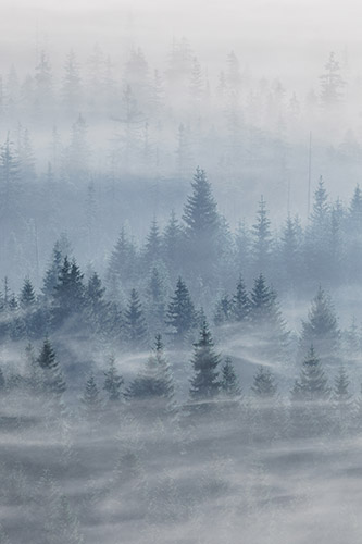 martin rak krajina pro blnk studio
